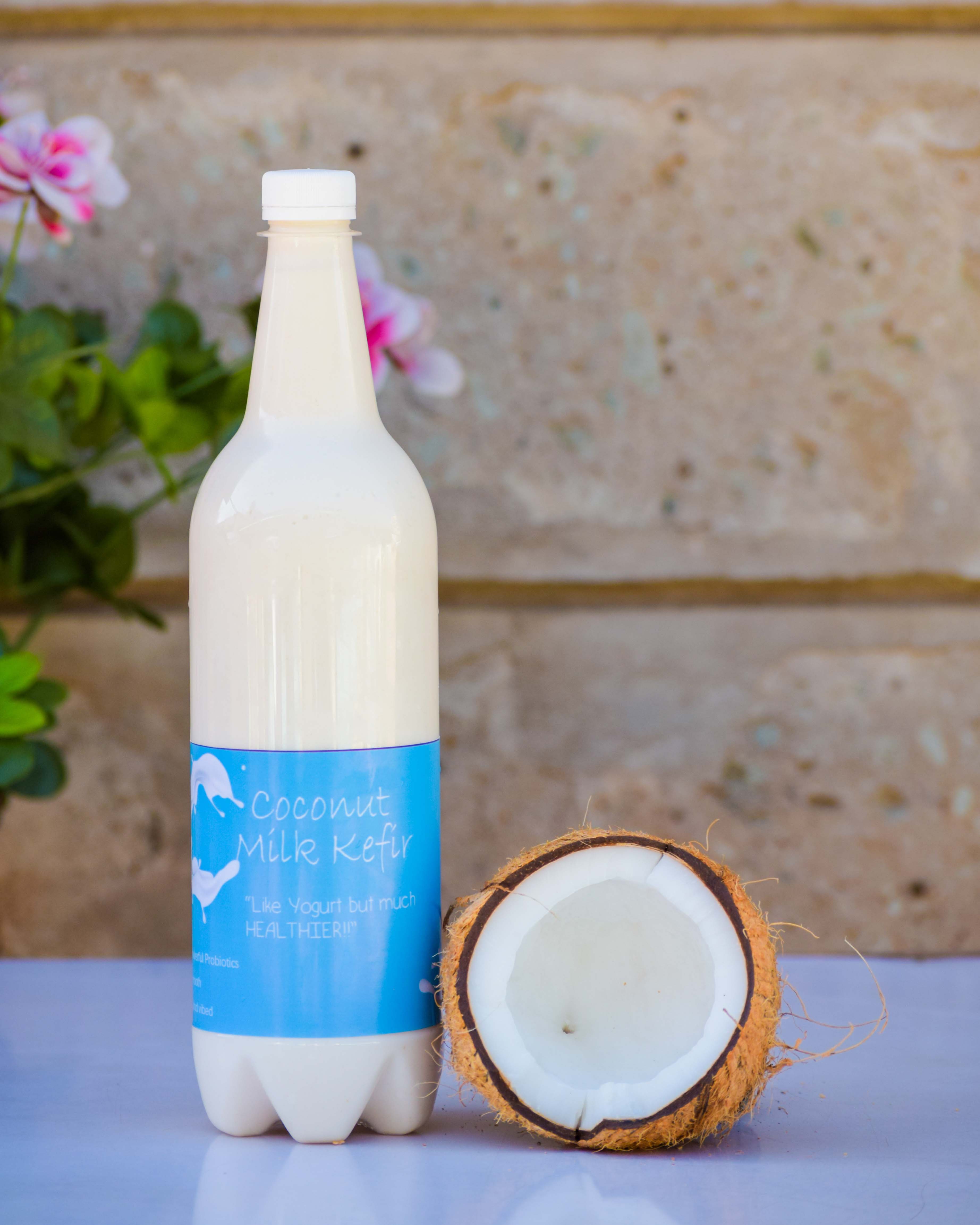 Coconut Milk Kefir